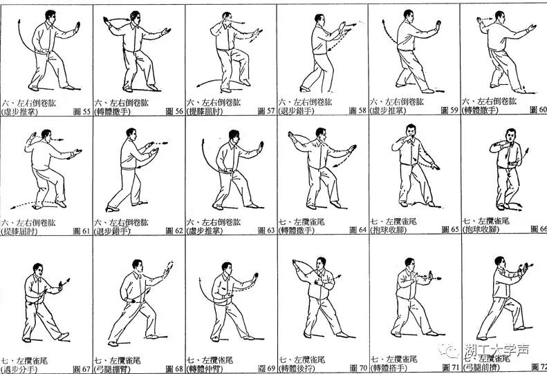 初学太极拳24式慢动作(邱慧芳24式口令背面示范)